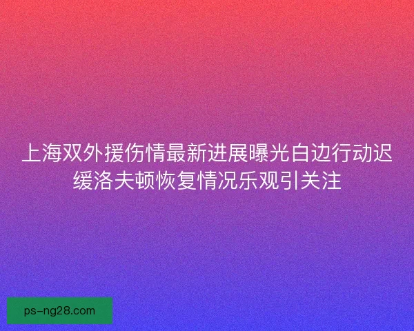 上海双外援伤情最新进展曝光白边行动迟缓洛夫顿恢复情况乐观引关注